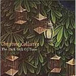 christine collister: the dark gift of time