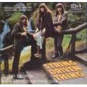 string driven thing: the early years