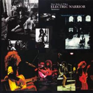 t. rex: the electric warrior sessions
