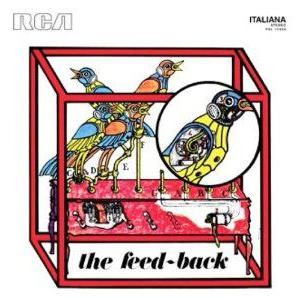 the group (gruppo improvvisazione nuova consonanza): the feed-back