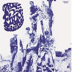 the final solution: the final solution