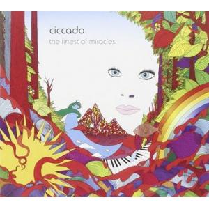 ciccada: the finest of miracles