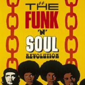 various: the funk'n'soul revolution