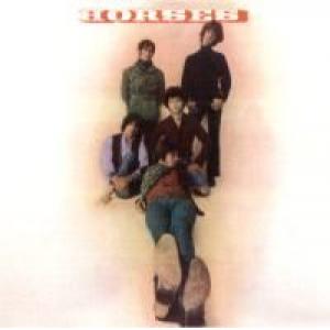 the horses: the horses