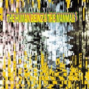 the human beinz/the mammals: the human beinz/the mammals