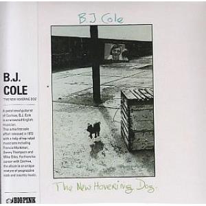 b.j. cole: the new hovering dog