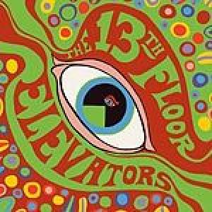 13th floor elevators: the psychedelic sounds of