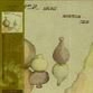 locust (south korea): the shadow