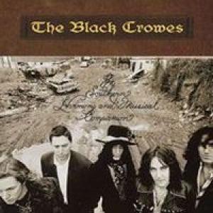 the black crowes: the southern harmony and musical companion