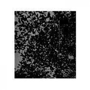 masato minami: the tropics