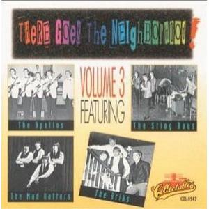 various: there goes the neighborhood vol.3 featuring the sting rays, the apollos, the mad hatters, the briks