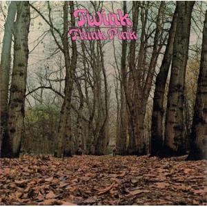 twink: think pink - pink vinyl (record store day 2019 exclusive, limited)