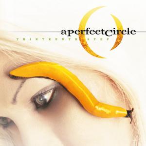 a perfect circle: thirteenth step