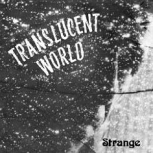 terry r. brooks & strange: translucent world