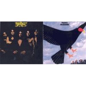 tucky buzzard: tucky buzzard / warm slash