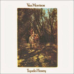 morrison van: tupelo honey