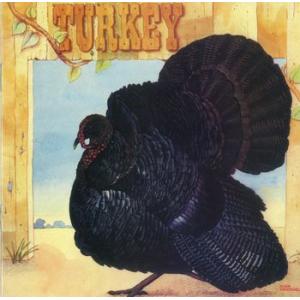 wild turkey: turkey