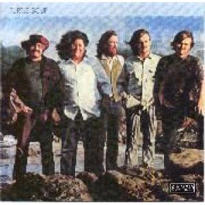 the turtles: turtle soup