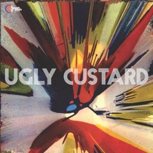 ugly custard: ugly custard