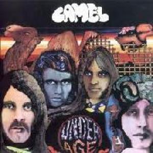 camel: underage