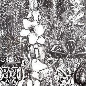 visitations: untitled