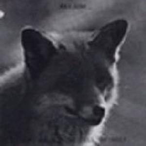 ravjunk: uppsala stadshotell brinner