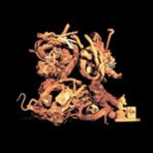 voice of the seven woods: voice of the seven woods