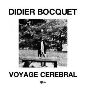 didier bocquet: voyage cerebral