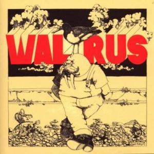 walrus: walrus