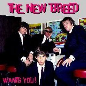 new breed: wants you!