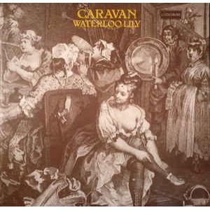 caravan: waterloo lily