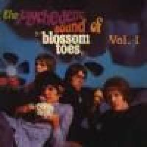 blossom toes: we are ever so clean - psychedelic sound of.. vol.1