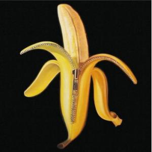 dandy warhols: welcome to the monkey house