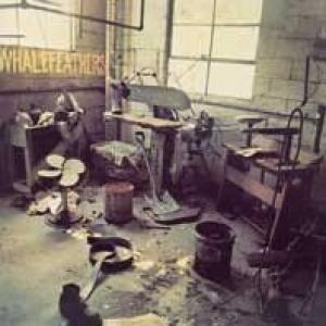 whalefeathers: whalefeathers