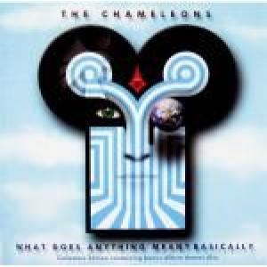 the chameleons: what does anything mean?