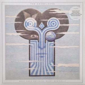 the chameleons: what does anything mean? basically