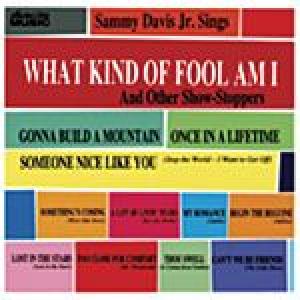 sammy davis jr: what kind of fool am i