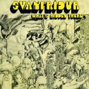 svanfridur: what's hidden there?