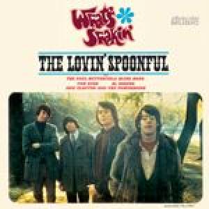 various: what's shakin'