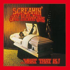 screamin' jay hawkins: what that is