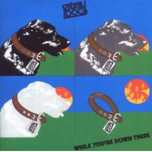 stray dog: while you 're down there