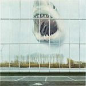 black mountain: wilderness heart