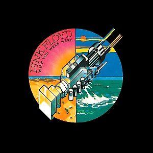 pink floyd: wish you were here
