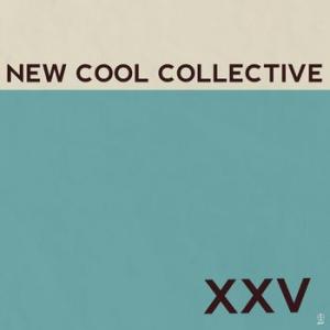 new cool collective: xxv (coloured)