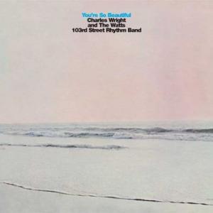 charles wright & the 103rd street rhythm band: you 're so beautiful