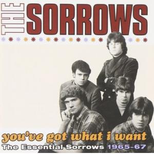 the sorrows: you’ve got what i want – the essential sorrows 1965-67